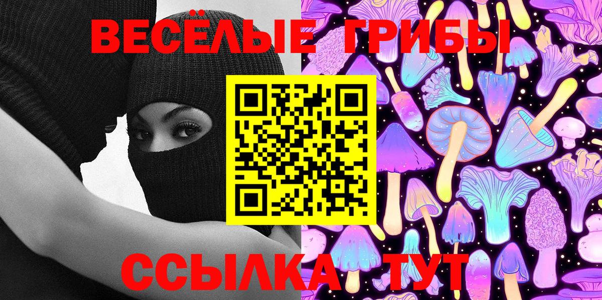 Галлюциногенные грибы мицелий  Вход с VPN  Топки 