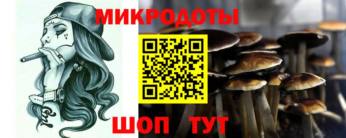 Галлюциногенные грибы MAGIC MUSHROOMS Топки